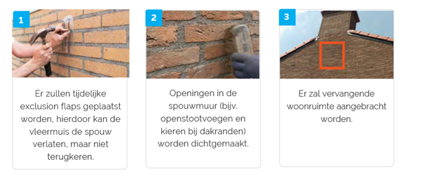 Stappenplan natuurvriendelijk isoleren